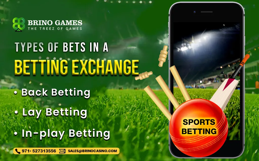 Types of Bets in a Betting Exchange