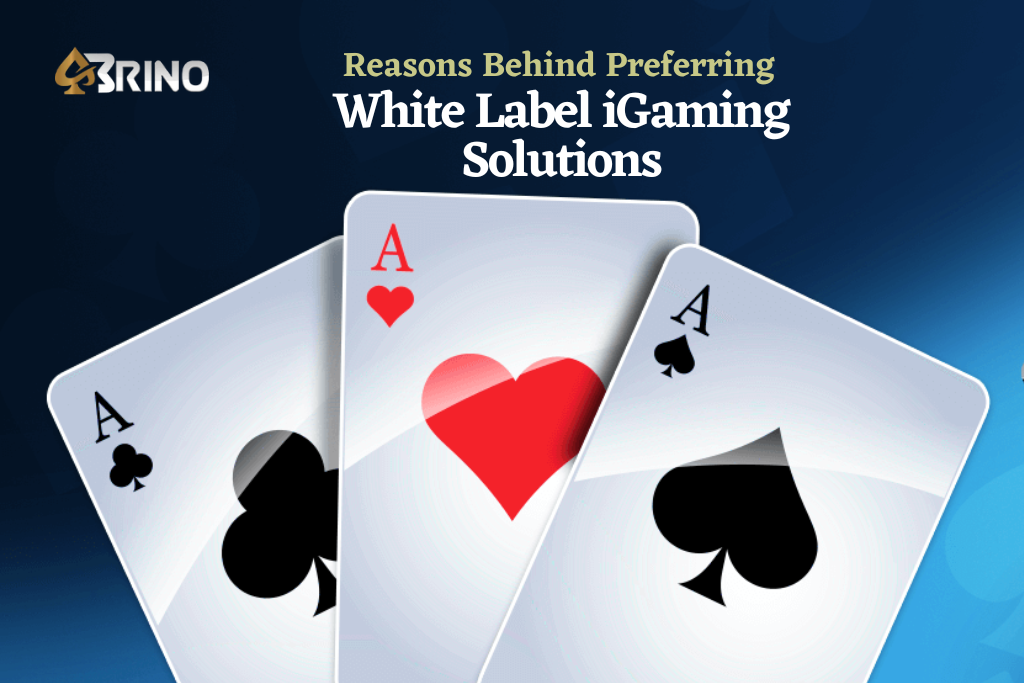 Reasons to Choose White Label iGaming Solutions In 2024-25