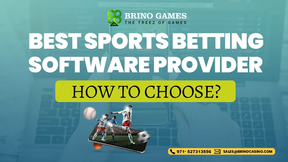 Best Sports Betting Software Provider: How to Choose?