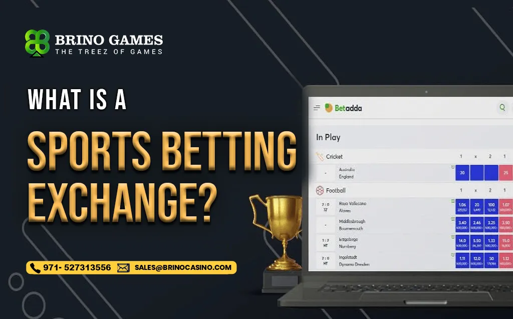 What is a Sports Betting Exchange?- Brino Games