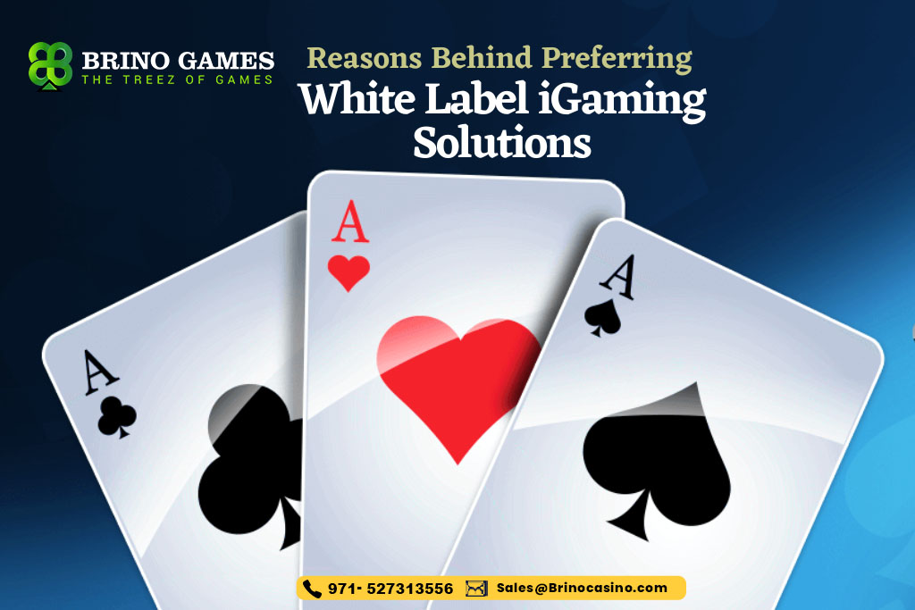Reasons Behind Preferring White Label iGaming Solutions