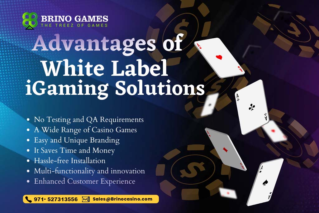 Benefits of White Label iGaming Solutions 