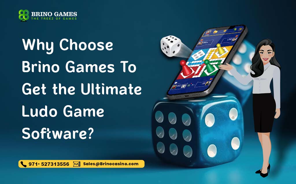 Why Choose Brino Games To Get the Ultimate Ludo Game Software?