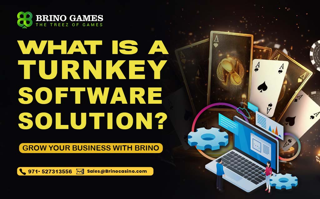 What is a Turnkey Software Solution? Grow your business with Brino