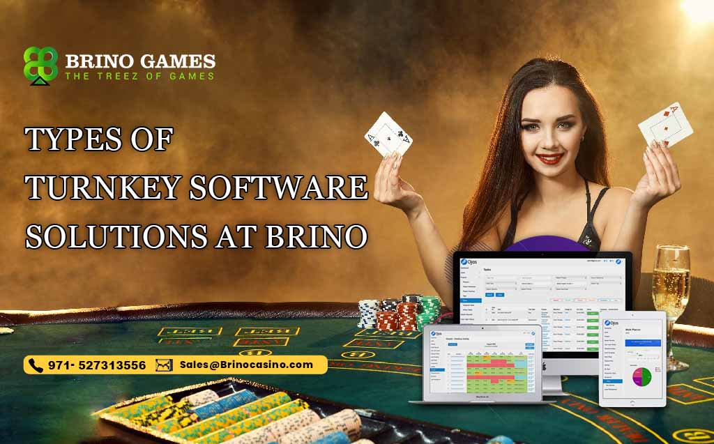 Types of Turnkey Software Solutions At Brino
