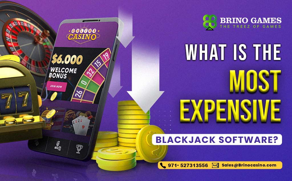 What is the best expensive blackjack software