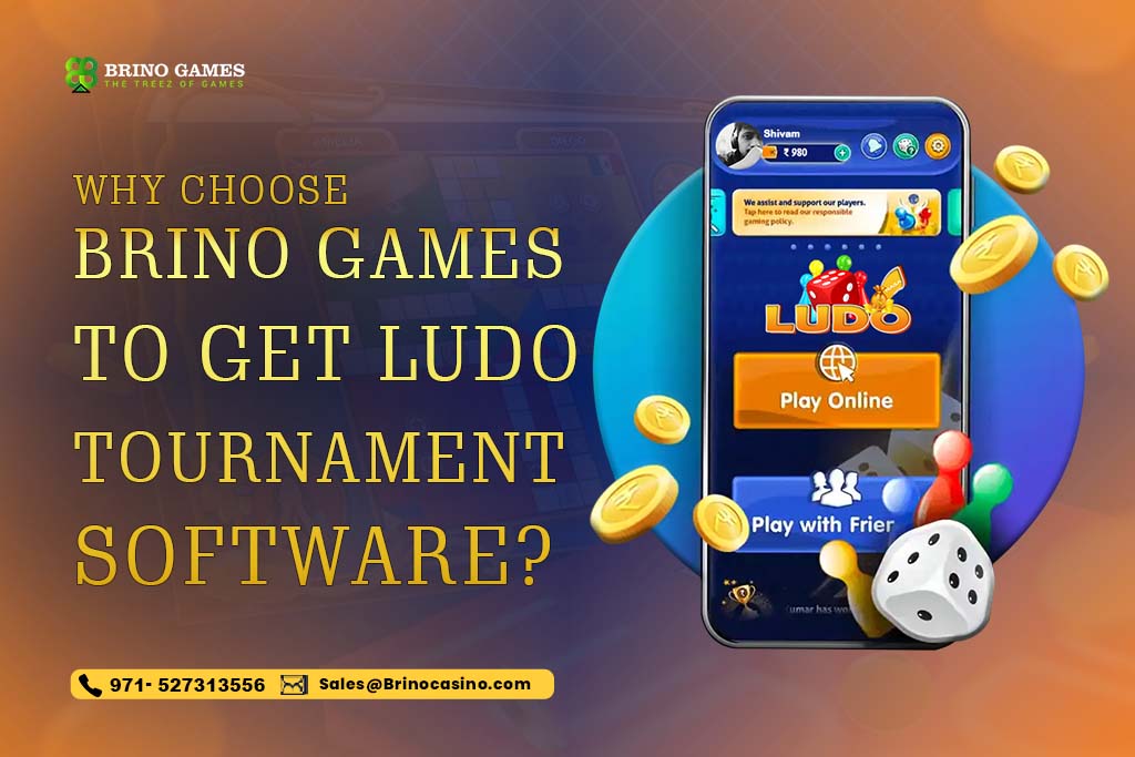 Why Choose Brino Games To Get Ludo Tournament Software