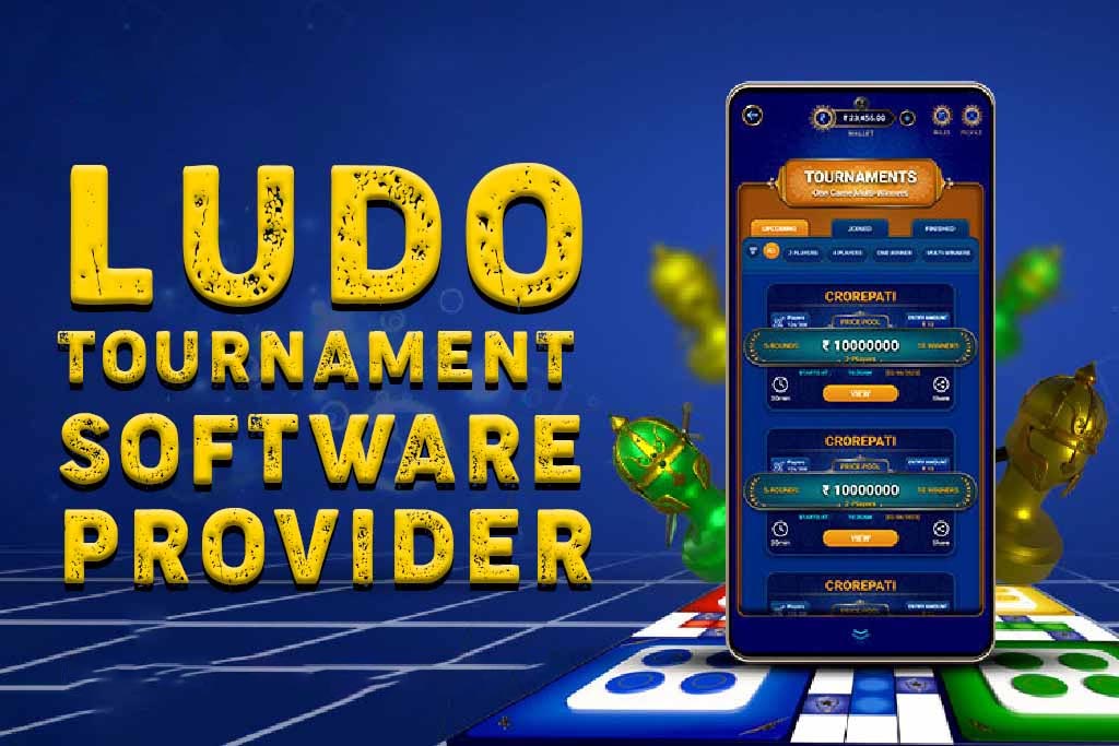 Top 10 Ludo Tournament Software Providers