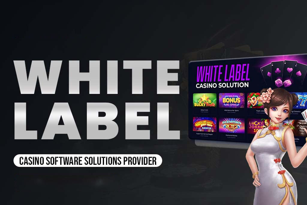 White Label Casino Software Solutions Provider