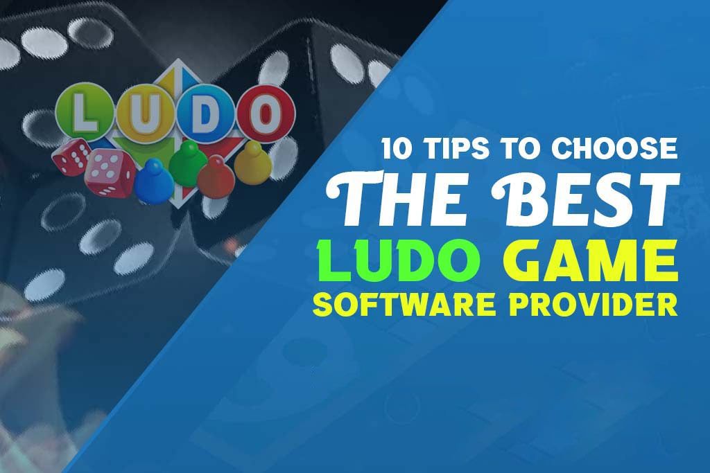 10+ Tips to Choose the Best Ludo Game Software Provider