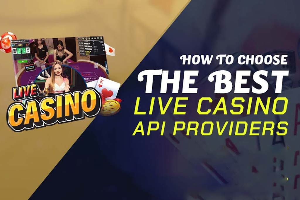 How to Choose the Best Live Casino API Providers In 2024-2025?