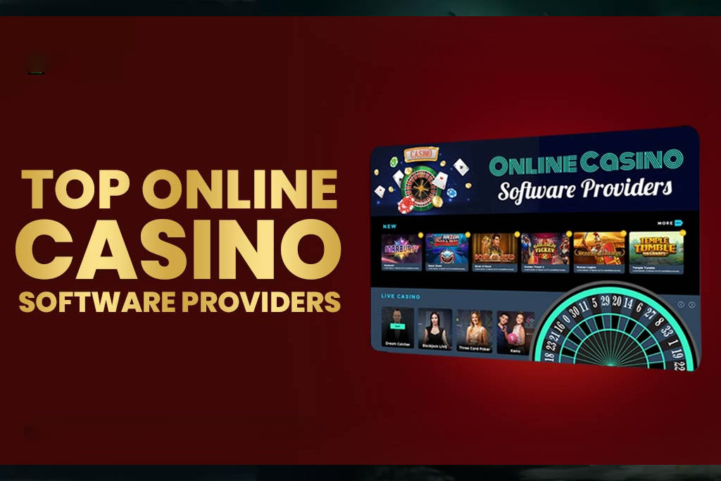 Top Online Casino Software Providers In 2024-25