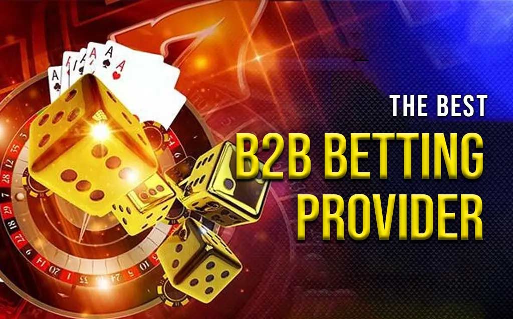 Best B2B Betting Software Solution Provider