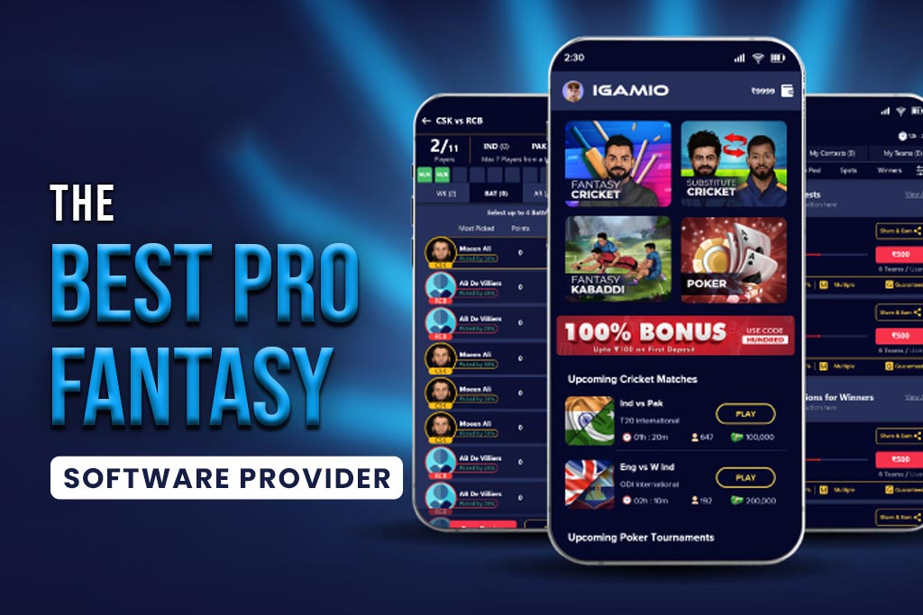 Best Pro Fantasy Software Solution Provider: Brino Games