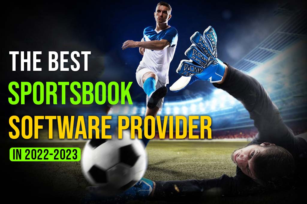 Top Sportsbook Software Solution Providers In 2024